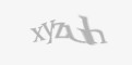 Защитный код